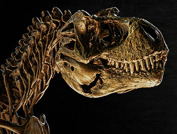 T-Rex Skeleton Bronze