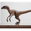 Jurassic Park 1:4 Scale Raptor Maquette with Case