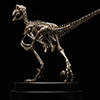Jurassic Park 1:8 Scale Raptor Skeleton Bronze