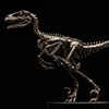Jurassic Park 1:8 Scale Raptor Skeleton Bronze