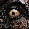 Jurassic Park T-Rex Eye Reproduction