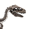Jurassic Park 1:4 Scale Raptor Bronze