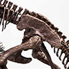 Jurassic Park 1:24 Scale Rotunda T-Rex Bronze Statue
