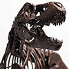 Jurassic Park 1:24 Scale Rotunda T-Rex Bronze Statue