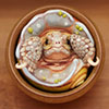 Sheng Collection: Hermit Tortoise