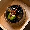 Sheng Collection: Complete set of 4 plus Dark Nautilus Beetle