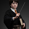 Harry Potter Life-size Bust